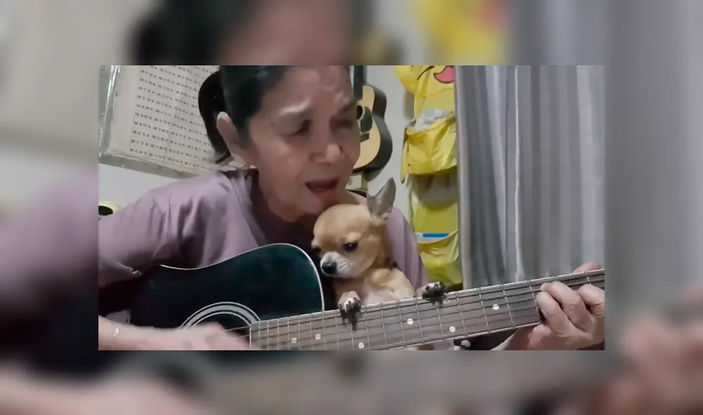 En Facebook, una mujer tocó la canción Hey Jude en una transmisión en vivo para dedicarlo a su tierna mascota. En Facebook, una mujer tocó la canción Hey Jude en una transmisión en vivo para dedicarlo a su tierna mascota.