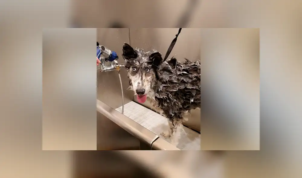 Desliza para ver las imágenes más tiernas de la historia viral de Facebook. Desliza para ver las imágenes más tiernas de la historia viral de Facebook.