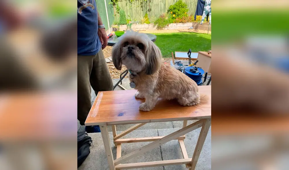 Desliza las imágenes para apreciar el tierno gesto de un señor para ayudar a la mascota de su hija. Foto: Facebook