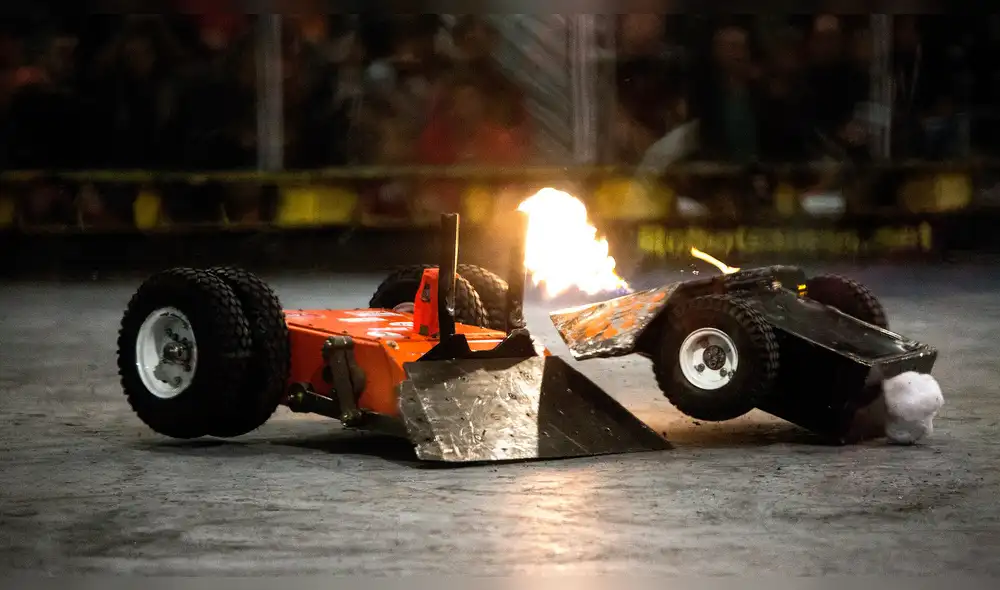 Algoritmo de YouTube consideró las peleas de robots como maltrato animal.