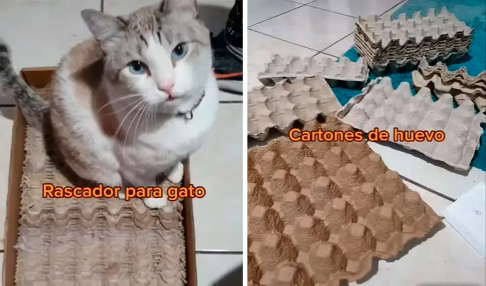 Desliza las imágenes para conocer la ingeniosa idea que tuvo una joven al fabricar un rascador para su gato. Foto: captura de TikTok