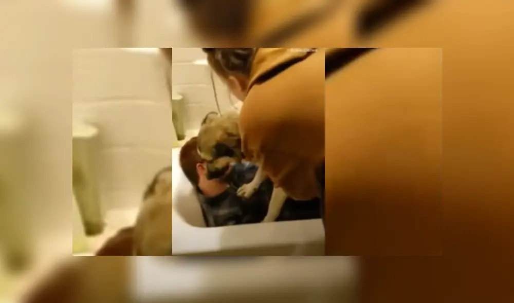 Desliza hacia la izquierda para ver más del video viral Desliza hacia la izquierda para ver más del video viral