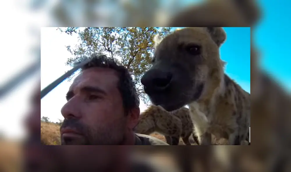 Desliza hacia la izquierda para ver el encuentro del turista con las hienas, escena que es viral en Facebook. Desliza hacia la izquierda para ver el encuentro del turista con las hienas, escena que es viral en Facebook.