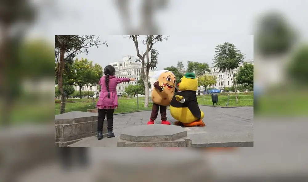 pollo a la brasa papa ministerio de agricultura