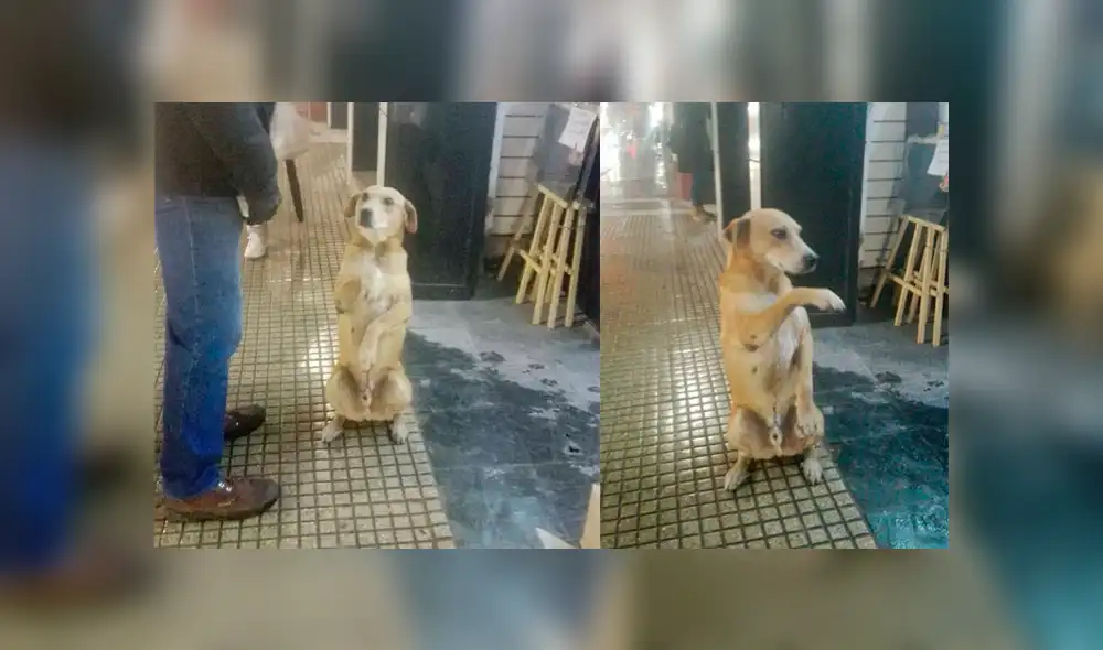 Desliza para ver el desenlace de esta conmovedora historia que es viral en Facebook. Foto: Captura.