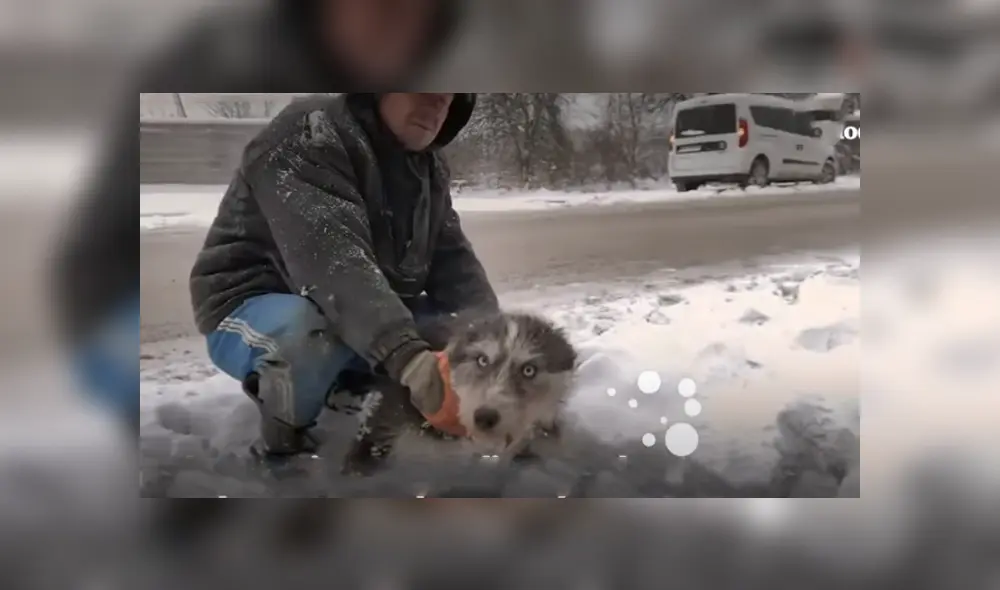 Desliza hacia la izquierda para ver el conmovedor rescate de los perros que se viralizaron en Facebook. Foto: Captura. Desliza hacia la izquierda para ver el conmovedor rescate de los perros que se viralizaron en Facebook. Foto: Captura.