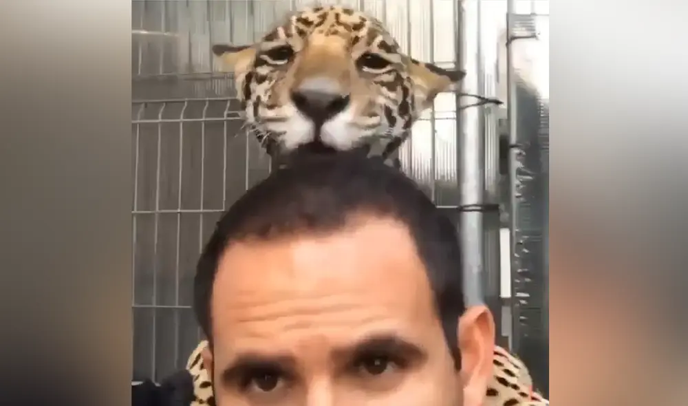 Desliza hacia la izquierda para ver las imágenes de video viral. Foto: Captura de TikTok. Desliza hacia la izquierda para ver las imágenes de video viral. Foto: Captura de TikTok.