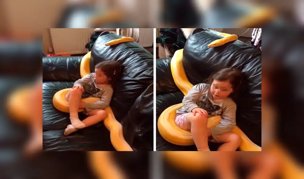 Facebook viral: niña juega con su pitón albina demostrando que es una tierna mascota [VIDEO] 