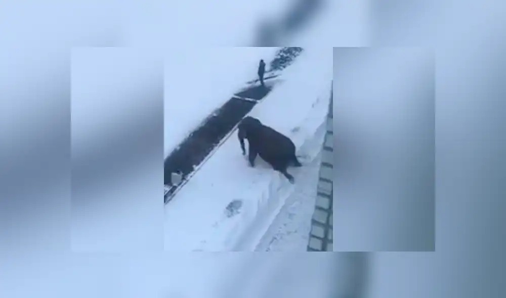 Desliza para ver los momentos más sorprendentes del video que se hizo viral en YouTube. Desliza para ver los momentos más sorprendentes del video que se hizo viral en YouTube.