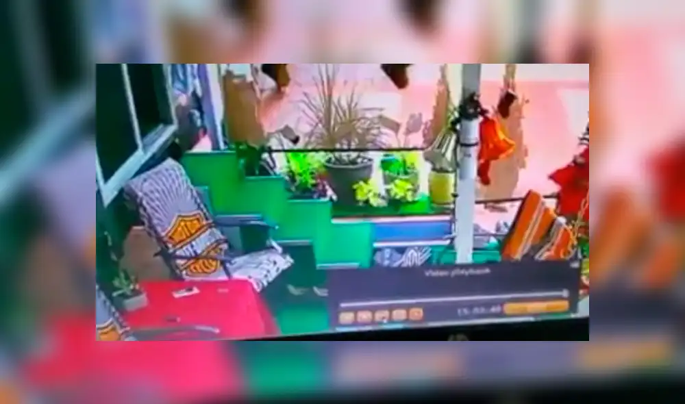 Facebook viral: coloca cámara de seguridad y descubre lo que hace su perro cuando él no está en casa Facebook viral: coloca cámara de seguridad y descubre lo que hace su perro cuando él no está en casa