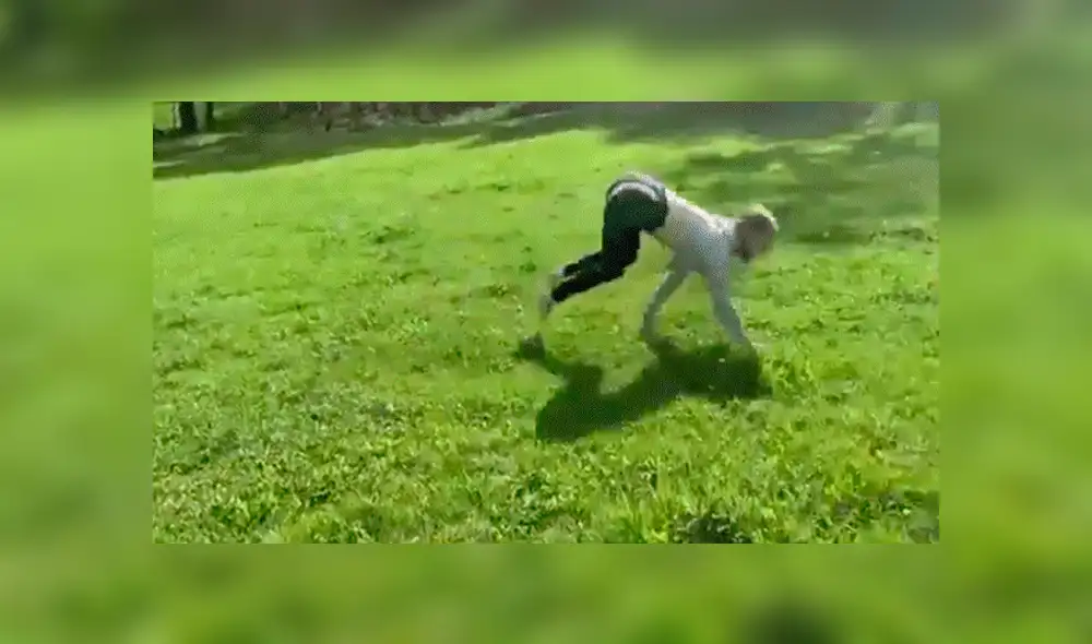 YouTube viral: Chica dice ser un caballo y hace esto para demostrarlo [VIDEO]