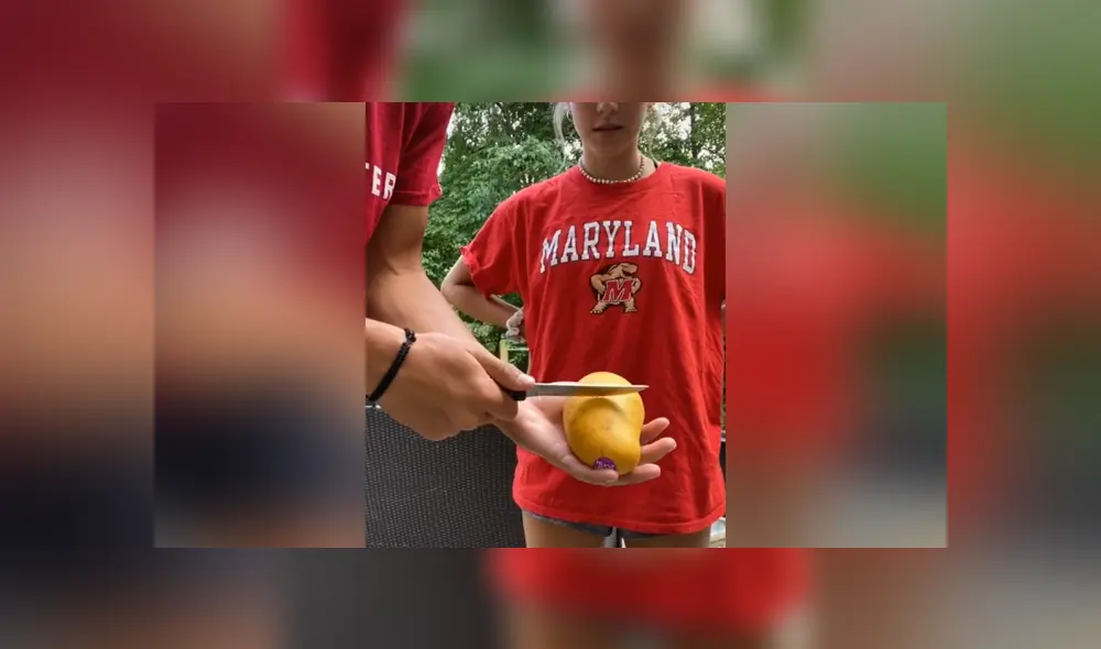 Un joven mostró un curioso truco para cortar mango de manera muy sencilla. Foto: TikTok Un joven mostró un curioso truco para cortar mango de manera muy sencilla. Foto: TikTok
