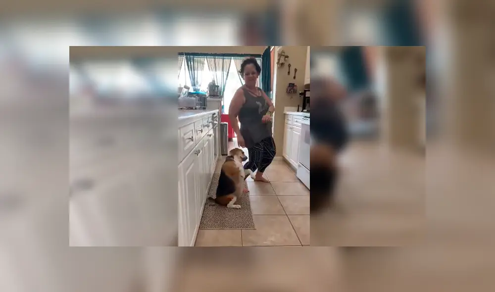 En Facebook, una joven descubrió el momento exacto que su madre y perro bailaron una canción de Sebastián Yatra. En Facebook, una joven descubrió el momento exacto que su madre y perro bailaron una canción de Sebastián Yatra.