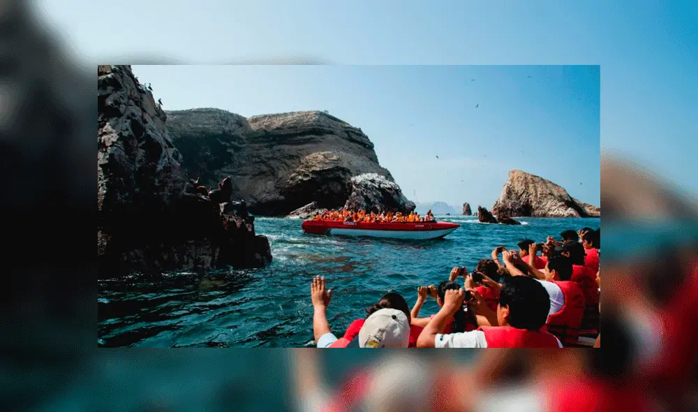 Celebra Fiestas Patrias con un Full Day a Paracas. Foto: Difusión Celebra Fiestas Patrias con un Full Day a Paracas. Foto: Difusión