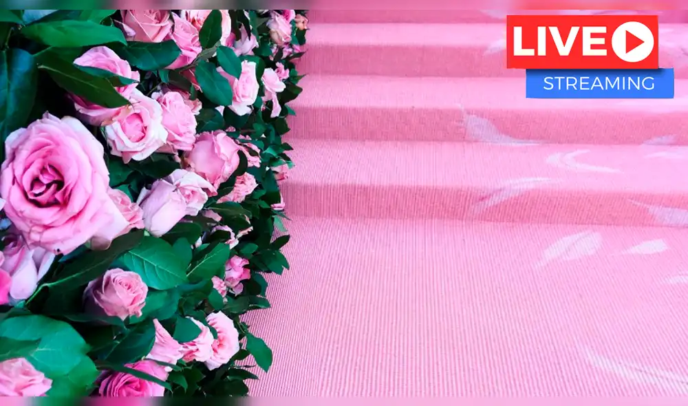 MET Gala 2019: Revive los mejores 'looks' de la alfombra rosa [VIDEO]