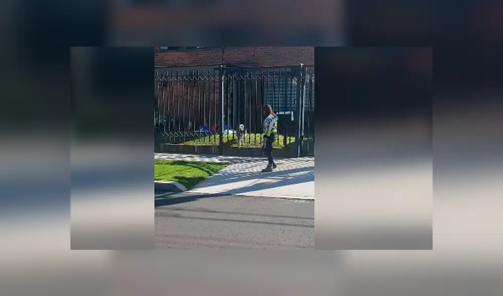 Desliza hacia la izquierda para ver más del video viral