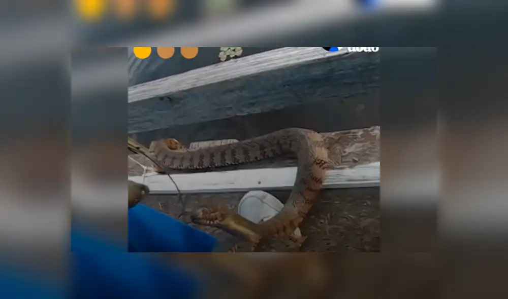 Desliza hacia la izquierda para ver la espeluznante escena que se volvió viral en YouTube. Desliza hacia la izquierda para ver la espeluznante escena que se volvió viral en YouTube.