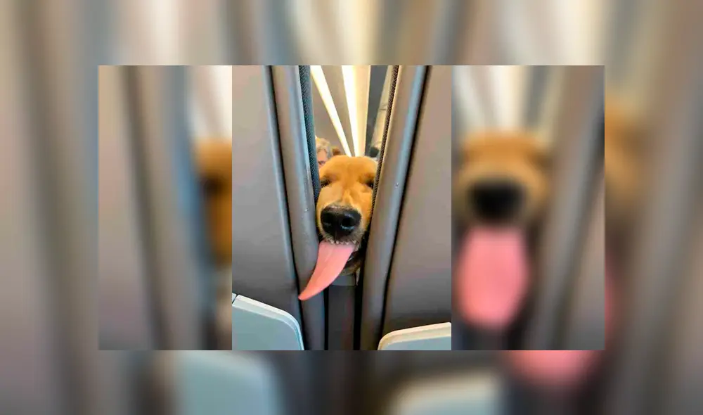 Desliza para ver los detalles de esta historia viral de Facebook. Foto: Captura. Desliza para ver los detalles de esta historia viral de Facebook. Foto: Captura.