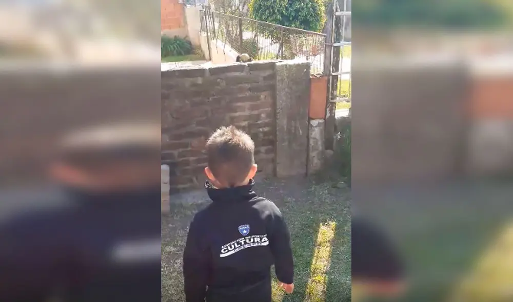 Desliza las imágenes para apreciar la tierna reacción de un perro al jugar con un pequeño desde su patio. Foto: Captura de Facebook