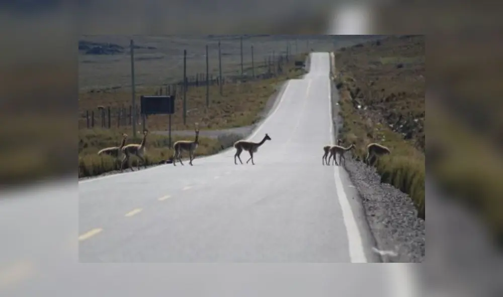 Coronavirus Coronavirus