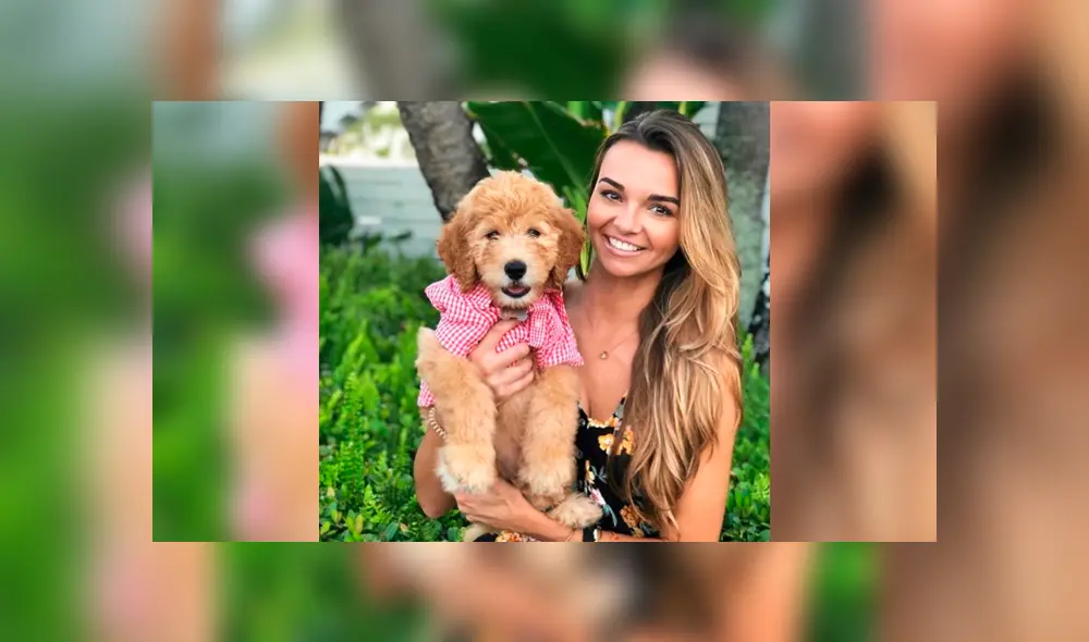 El regalo fue un goldendoodle, una raza creada a partir del cruce de un Golden retriever y un Caniche. Foto: sillybillythedoodle / Instagram El regalo fue un goldendoodle, una raza creada a partir del cruce de un Golden retriever y un Caniche. Foto: sillybillythedoodle / Instagram