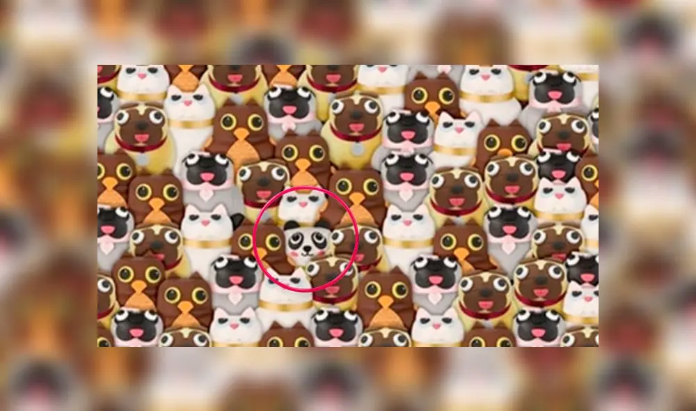 Desliza las imágenes para ver la ubicación del travieso osito panda que se escondió entre varios animales. Fuente: Facebook