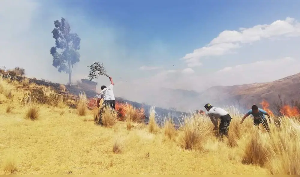 Cusco. Incendio forestal dejó a su paso desolación y muerte. Foto: La República