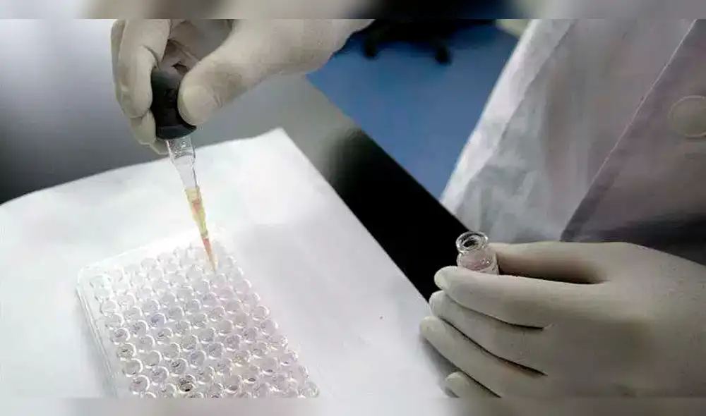 Estados Unidos: las "bacterias pesadillas" provocan miles de muertes y asustan a expertos Estados Unidos: las "bacterias pesadillas" provocan miles de muertes y asustan a expertos