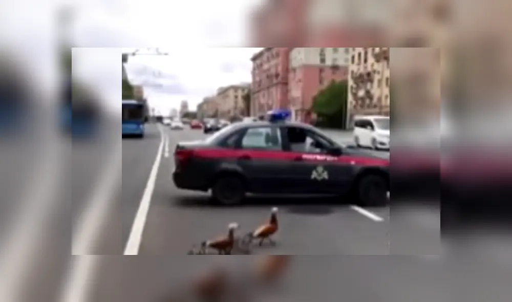 Desliza las imágenes para conocer más de esta escena que es viral en Facebook.