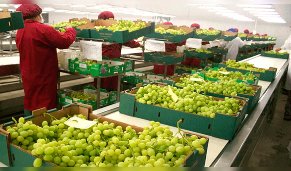 Empresarios peruanos buscarán vínculos comerciales en Guatemala