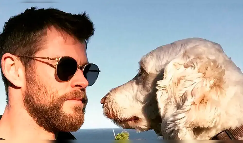 Chris Hemsworth felicita a su perro Sunny por aparecer en la portada de la revista GQ