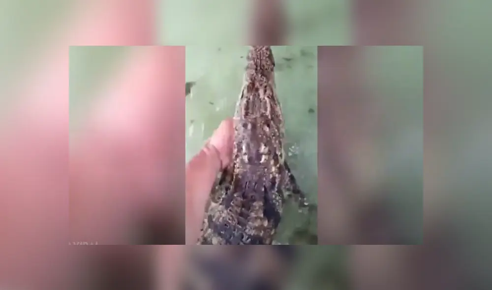 Desliza hacia la izquierda para ver las imágenes del viral de YouTube. Desliza hacia la izquierda para ver las imágenes del viral de YouTube.