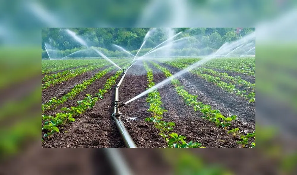 Destinarán 26 millones de soles para potenciar el agro en Apurímac 