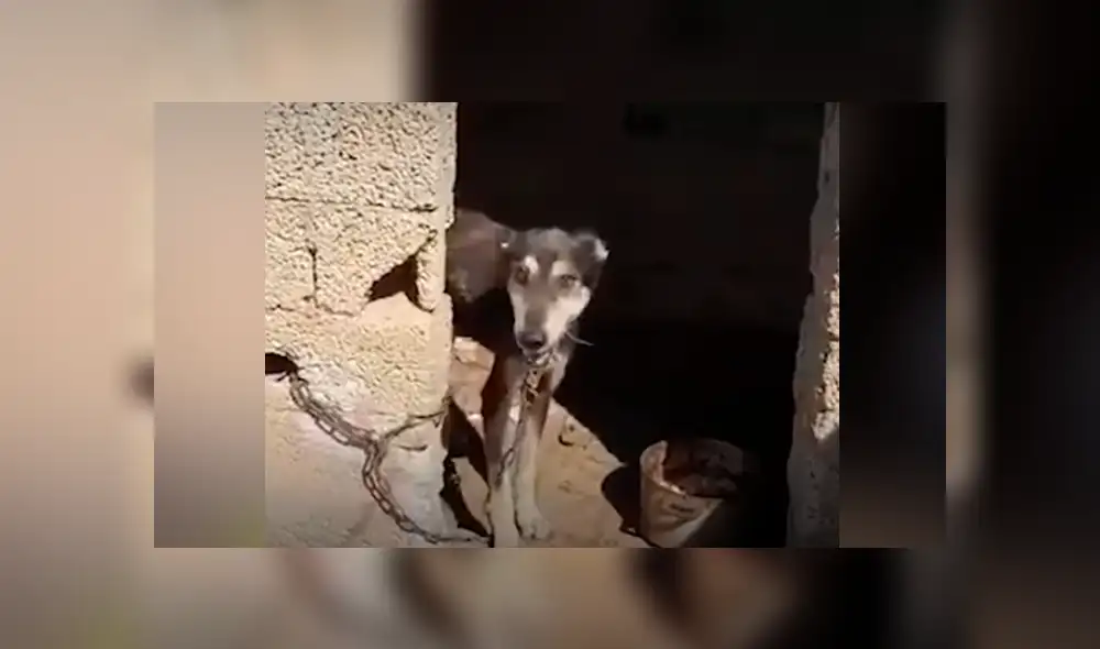 Desliza hacia la izquierda para ver las conmovedoras imágenes del viral de Facebook. Desliza hacia la izquierda para ver las conmovedoras imágenes del viral de Facebook.