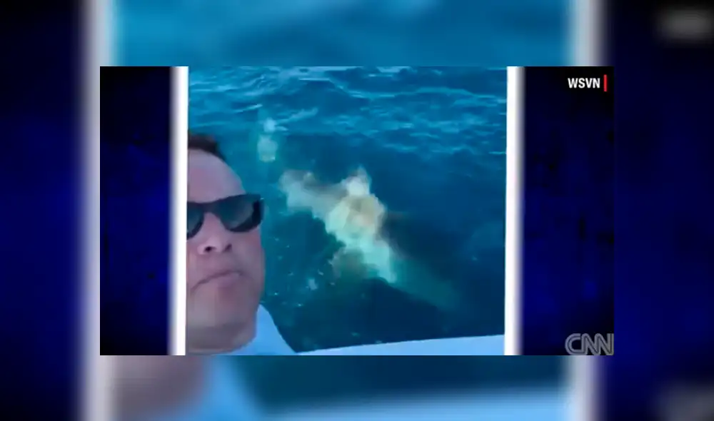 Desliza hacia la izquierda para ver el encuentro que tuvieron los pescadores con el tiburón, escena que es viral en YouTube. Desliza hacia la izquierda para ver el encuentro que tuvieron los pescadores con el tiburón, escena que es viral en YouTube.