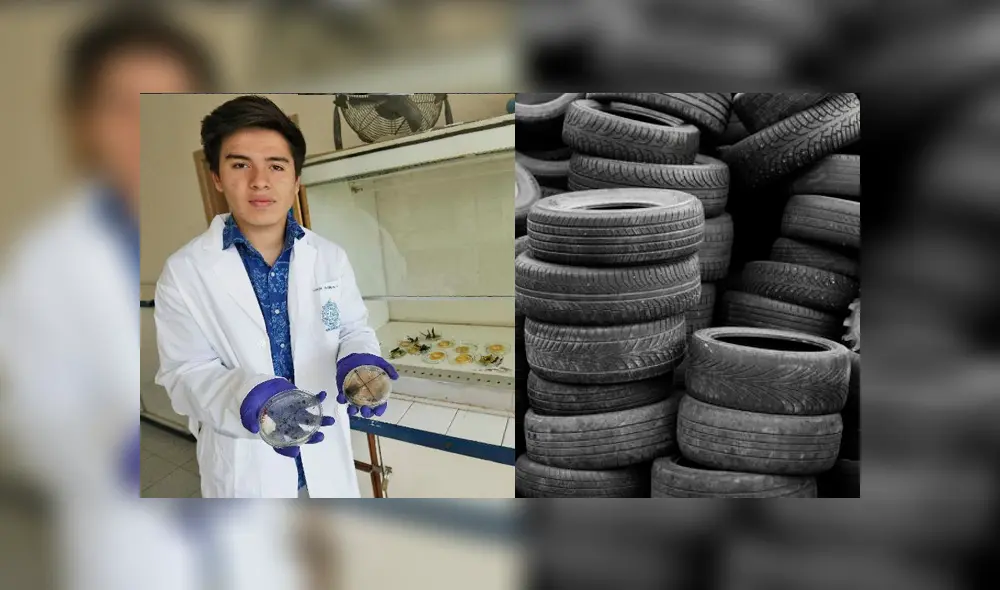Chile: joven de 19 años descubrió bacteria que come neumáticos Chile: joven de 19 años descubrió bacteria que come neumáticos