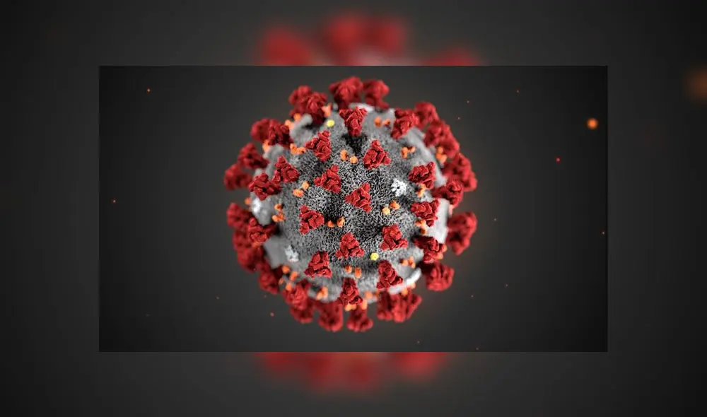 Genoma del COVID-19. Foto: CDC Genoma del COVID-19. Foto: CDC