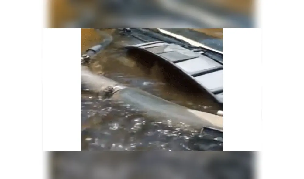 YouTube viral - Australia YouTube viral - Australia