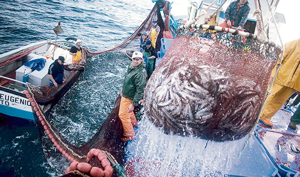 Pesca industrial. Durante el 2019, el sector cayó en 10 meses, solo creció en junio y julio.