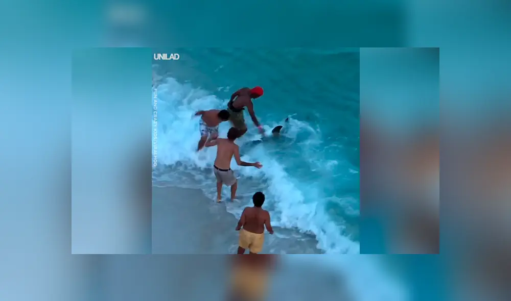 Hombres arrastran hambrienta criatura del mar, le sacan anzuelo atravesado y sucede lo increíble [VIDEO] 