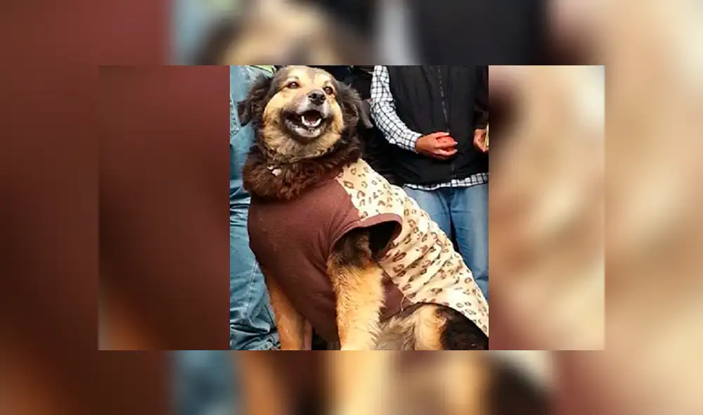 UNMSM se pronunció sobre la muerte de Perrovaca