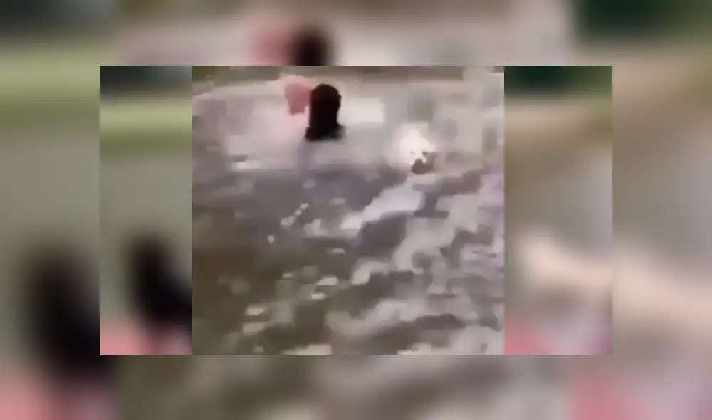 Facebook viral: Perros ven en peligro a su dueño y hacen lo imposible para salvarlo [VIDEO]