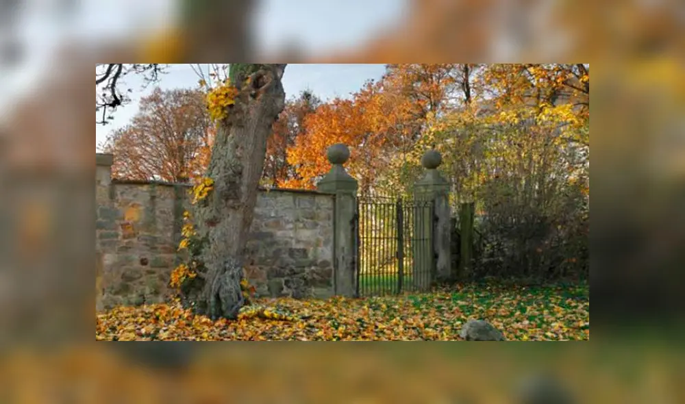 Desliza las imágenes para ver la respuesta de este complejo reto visual de Facebook.Foto: Jörg Düsterwald