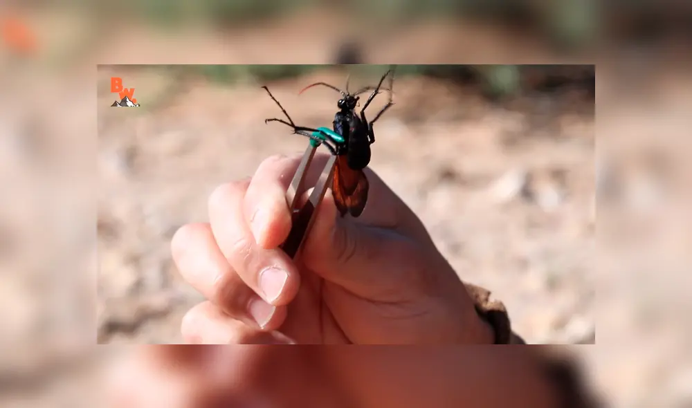 Desliza para ver los momento más importantes del impactante video que se hizo viral en YouTube.