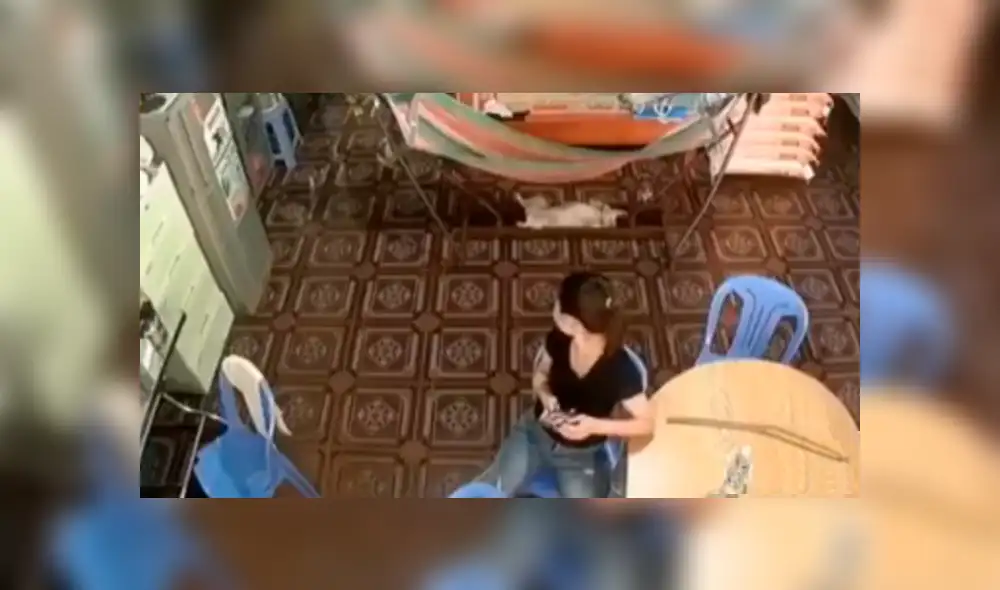 Desliza las imágenes para observar la travesura de un perro que fue registrado por unas cámaras de seguridad. Desliza las imágenes para observar la travesura de un perro que fue registrado por unas cámaras de seguridad.