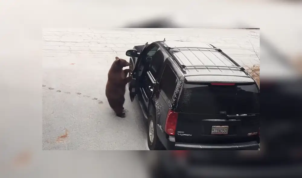 Desliza para ver los momentos más impactantes del video que se hizo viral en YouTube Desliza para ver los momentos más impactantes del video que se hizo viral en YouTube
