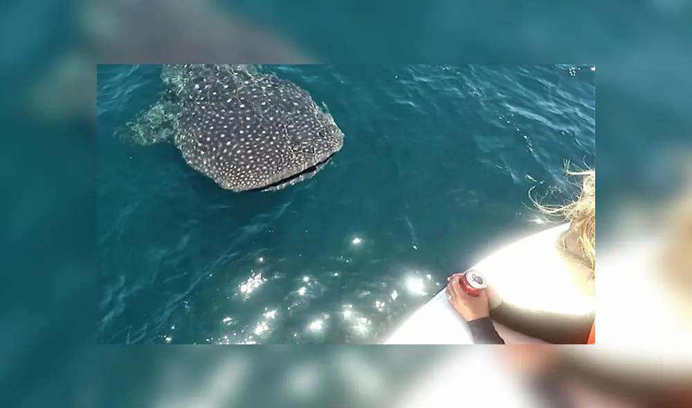 Desliza hacia la izquierda para ver las imágenes del viral de YouTube. Foto: Rumble Viral.