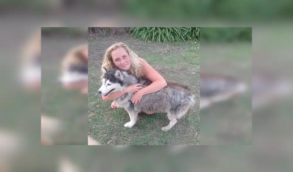 Facebook viral: perro fue robado y seis años después su familia logra encontrarlo [VIDEO] 