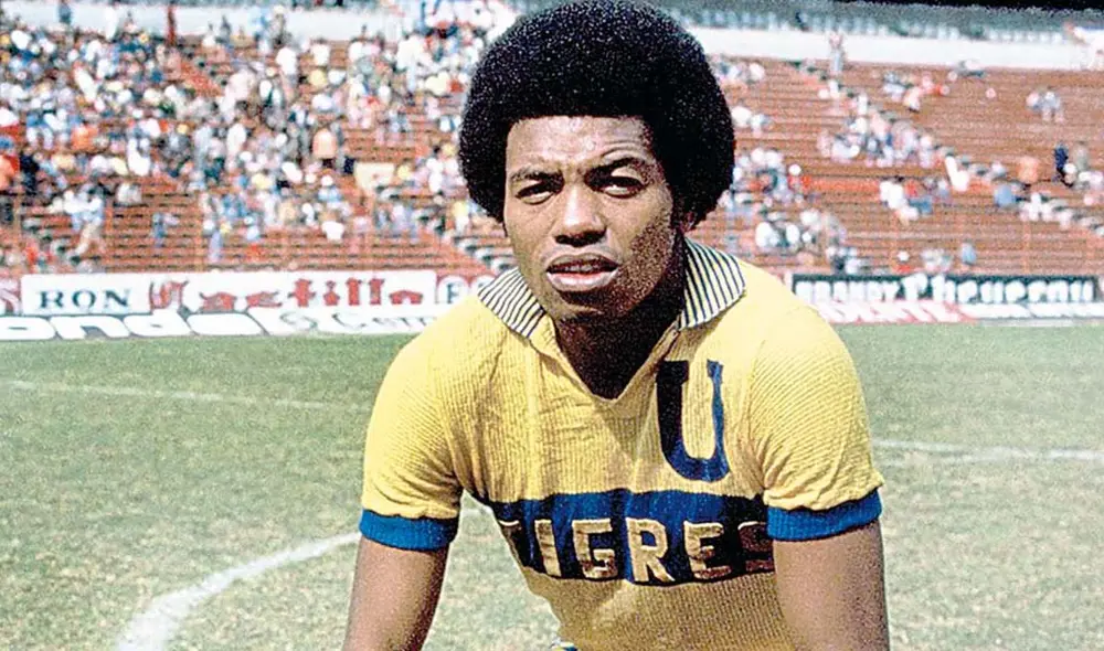 El delantero ganó dos títulos de la liga mexicana con Tigres. El delantero ganó dos títulos de la liga mexicana con Tigres.