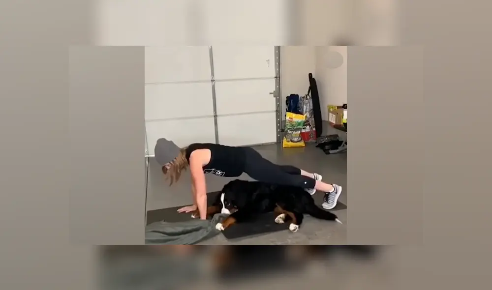 Desliza a la izquierda para ver la divertida escena que protagonizó el perro junto a su dueña. (Foto:captura)